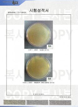 thumb of Official Test Report