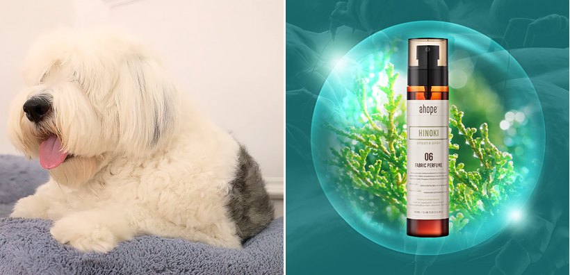 img of pet and perfume