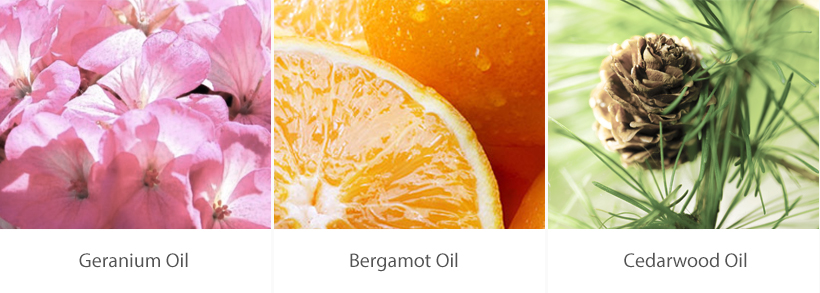 geranium, Bergamot, Cedarwood oil