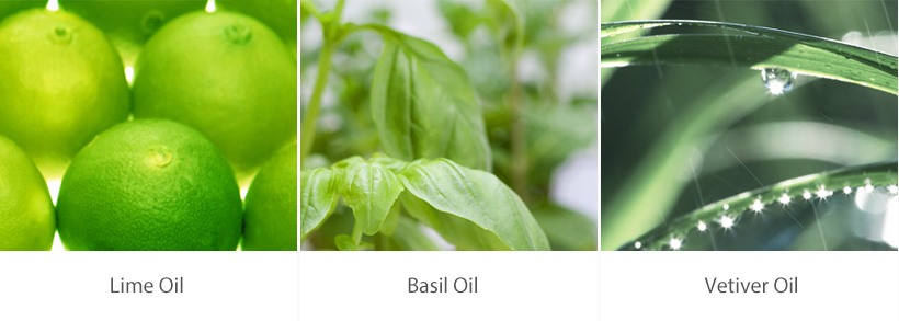 lime, basil, vetiver voil