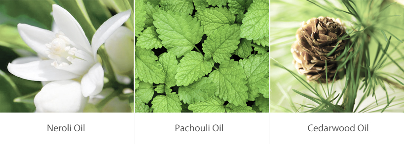 Neroli, Pachouli, Cedarwood oil
