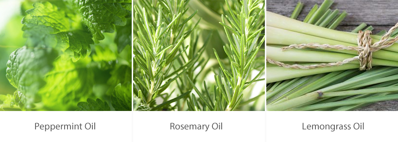 peppermint, rosemary, lemongrass oil